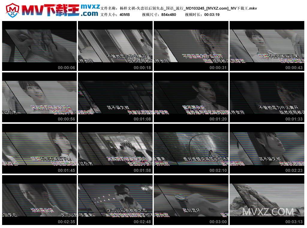 杨梓文祺-失恋以后别失态_国语_流行_MD103245